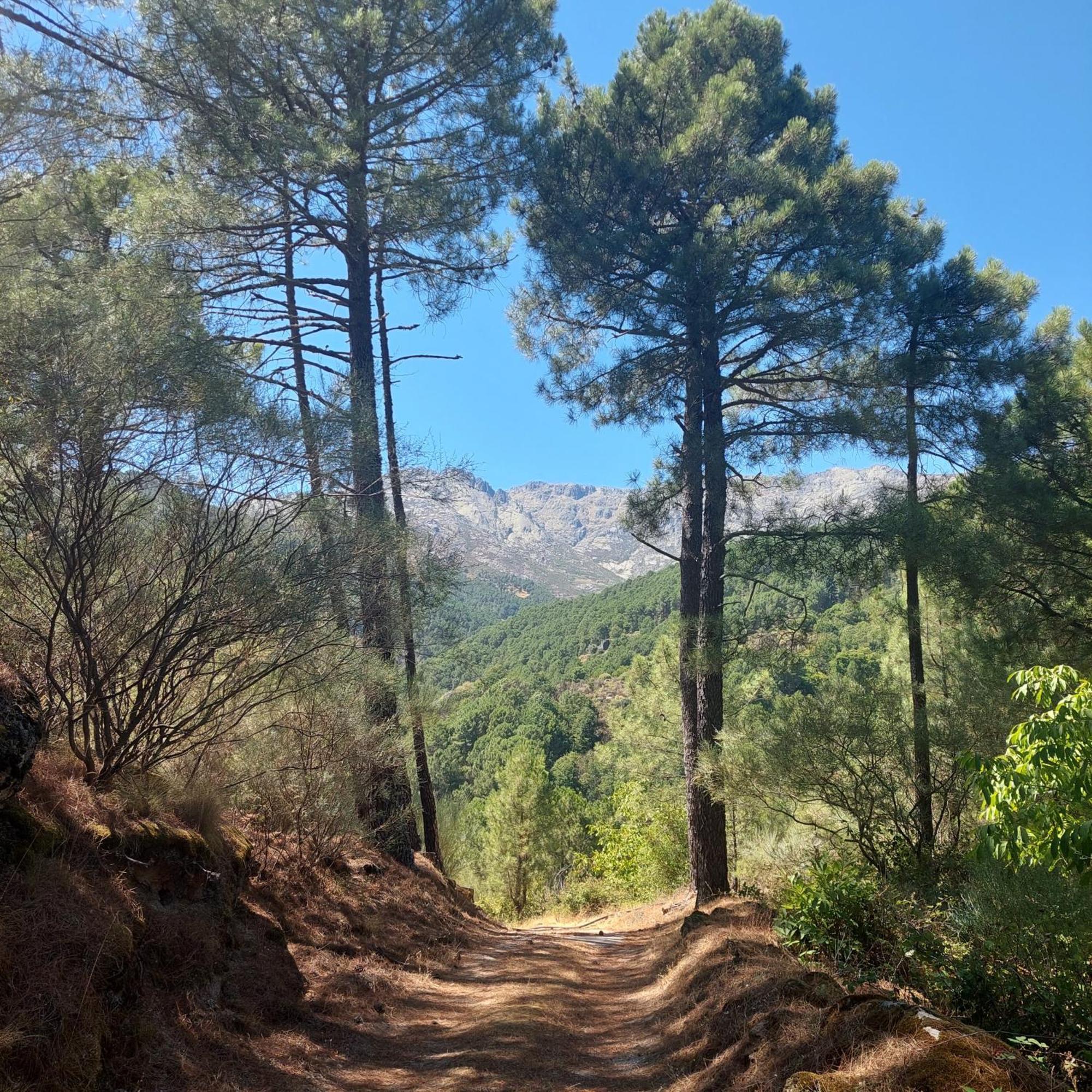 Puente Canto De Gredos Arenas de San Pedro Bagian luar foto