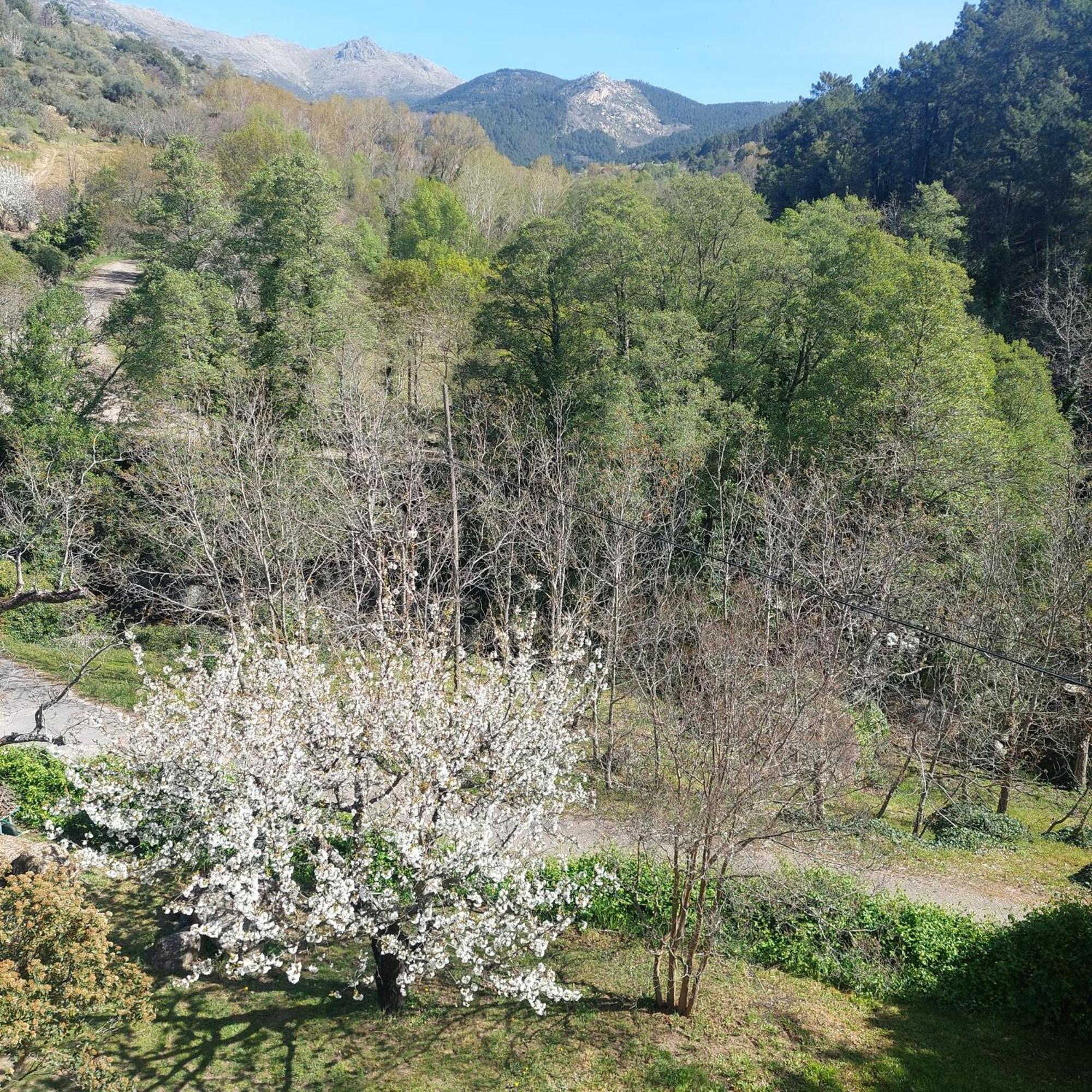 Puente Canto De Gredos Arenas de San Pedro Bagian luar foto